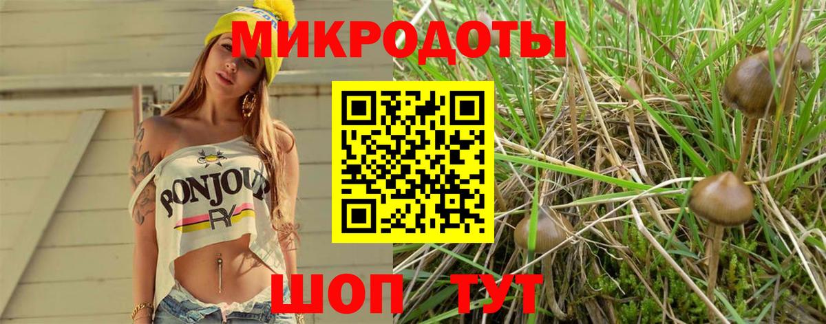 Псилоцибиновые грибы мухоморы Майский