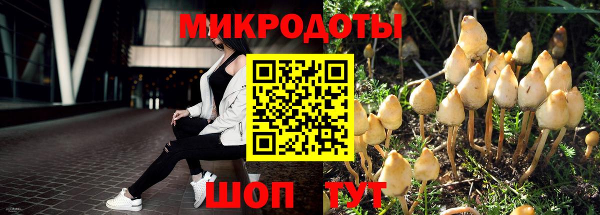 Псилоцибиновые грибы MAGIC MUSHROOMS  Вход с VPN  Майский 